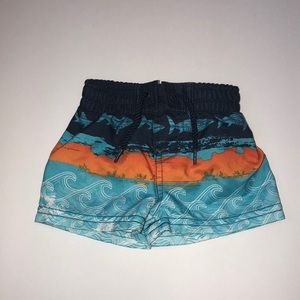 Newborn Boy Lined Koala Baby Swim trunks